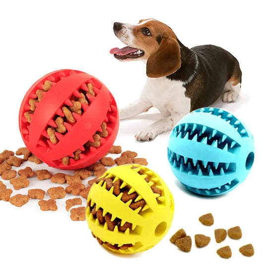 Kit 6 Pcs Watermelon Ball Dog Toy / Kit 6 Pcs del juguete para perros en forma de sandía